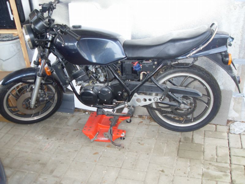 SDC11589.JPG