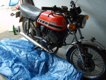 SV600228.jpg