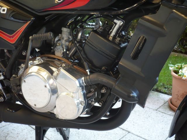 Motor2.jpg
