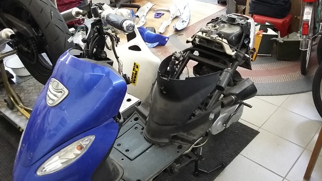 20170110_120124-kl.jpg