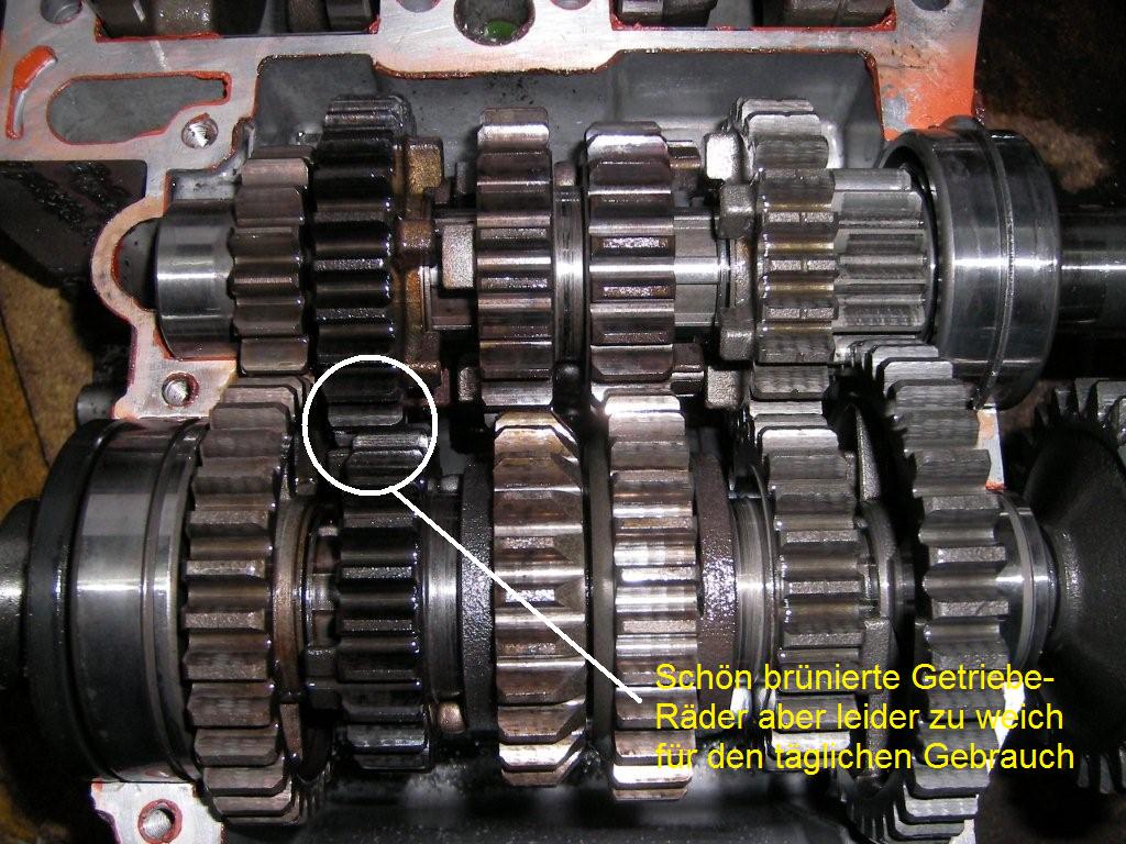 SANY2139.jpg