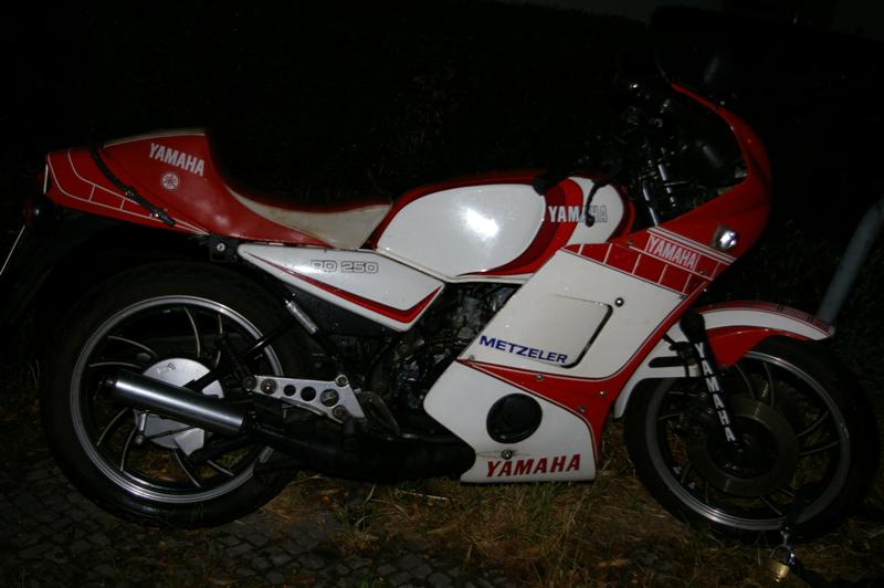 IMGP3276 (Medium).JPG