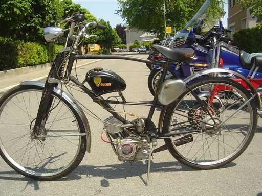 ducduc.jpg