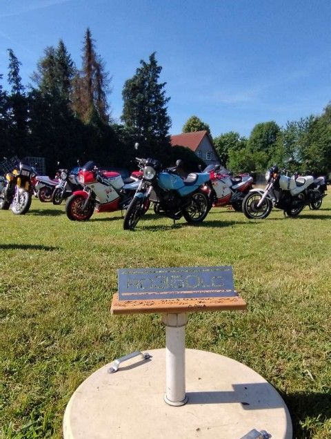 IMG_20240630_210837_copy_480x636.jpg
