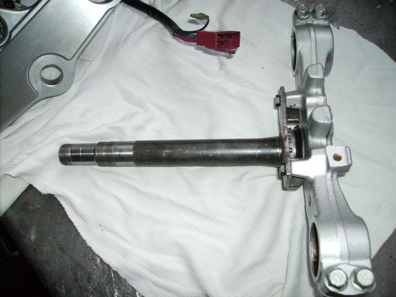 rd21.3.06 006.jpg