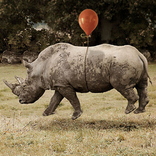 Nashorn
