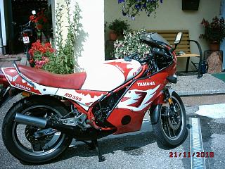 stiegel 2