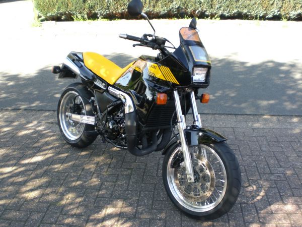 tdr250_600_450.jpg