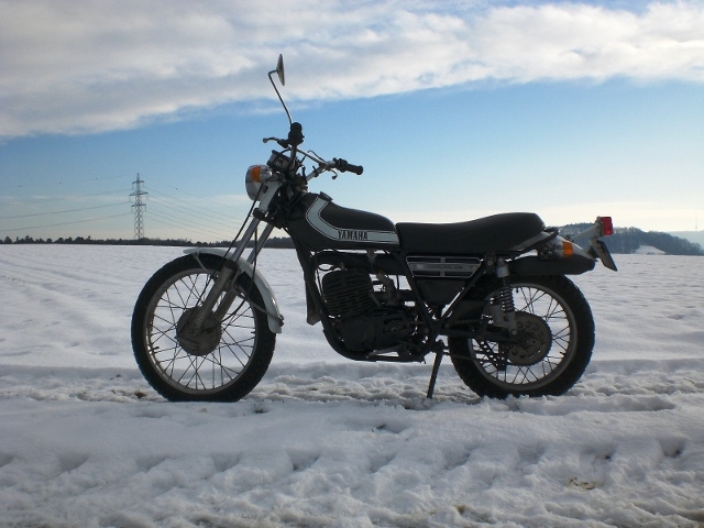 dt250.JPG