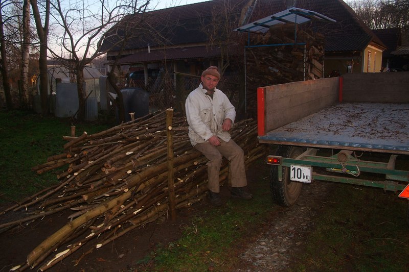 holz 2.JPG