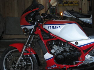 img2444g.jpg