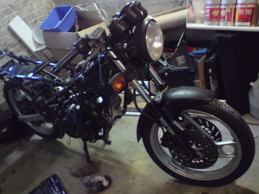 DSC02479 - Kopie.JPG