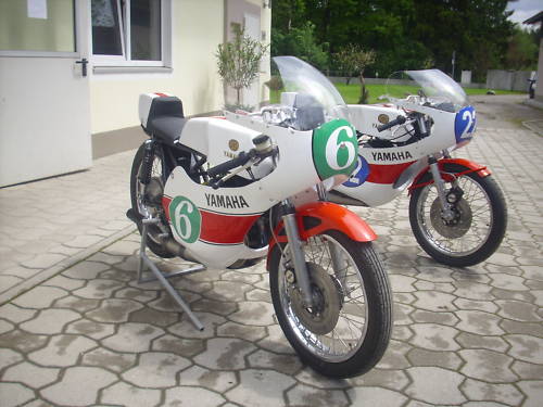 tz250.jpg