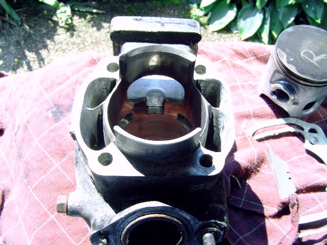 kM5110013.JPG