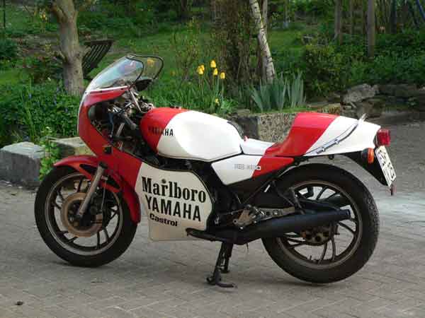 das fertige Modell
