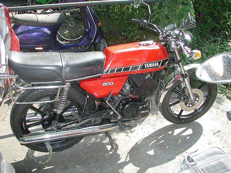 MyYami22222.jpg