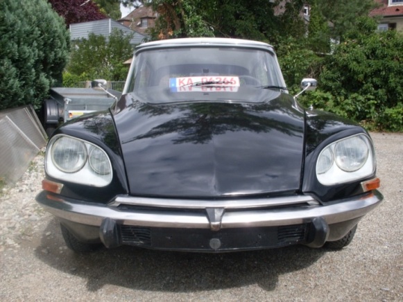 SDC10093.JPG