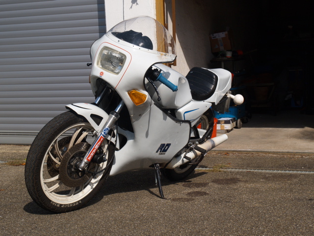 P9045641.jpg