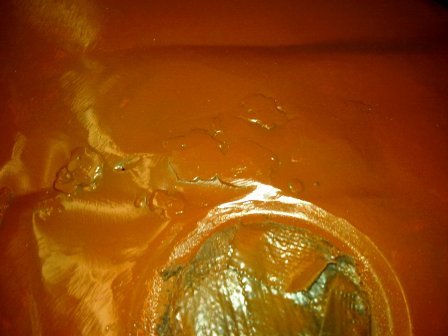08112011568.jpg