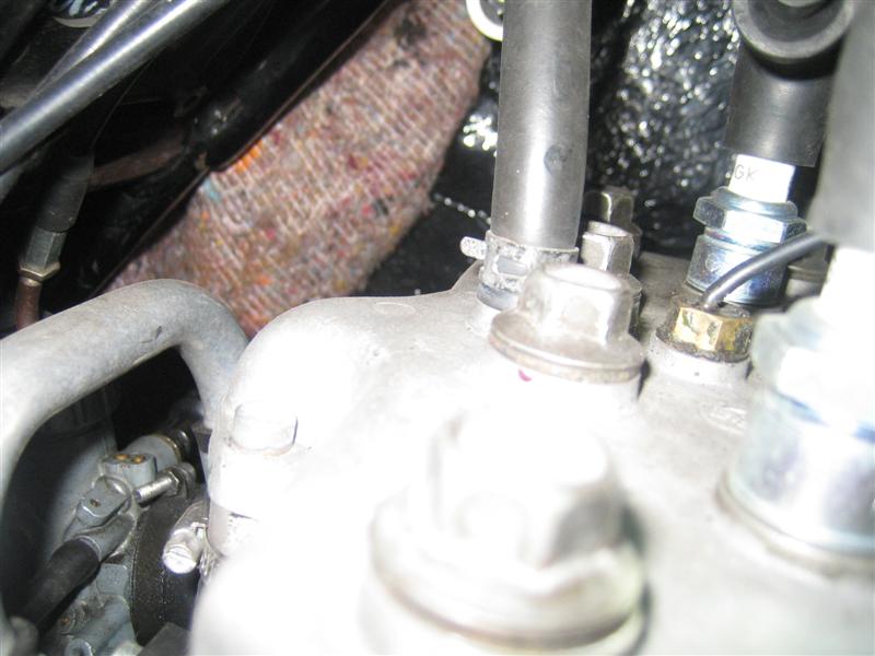 RD_2 (Medium).JPG