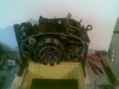 Modor