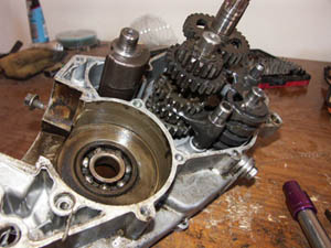 PICT0092.JPG