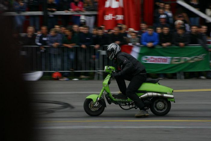 rd8.jpg