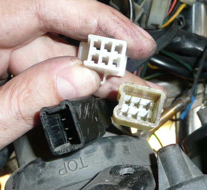 RD350_Stecker.jpg