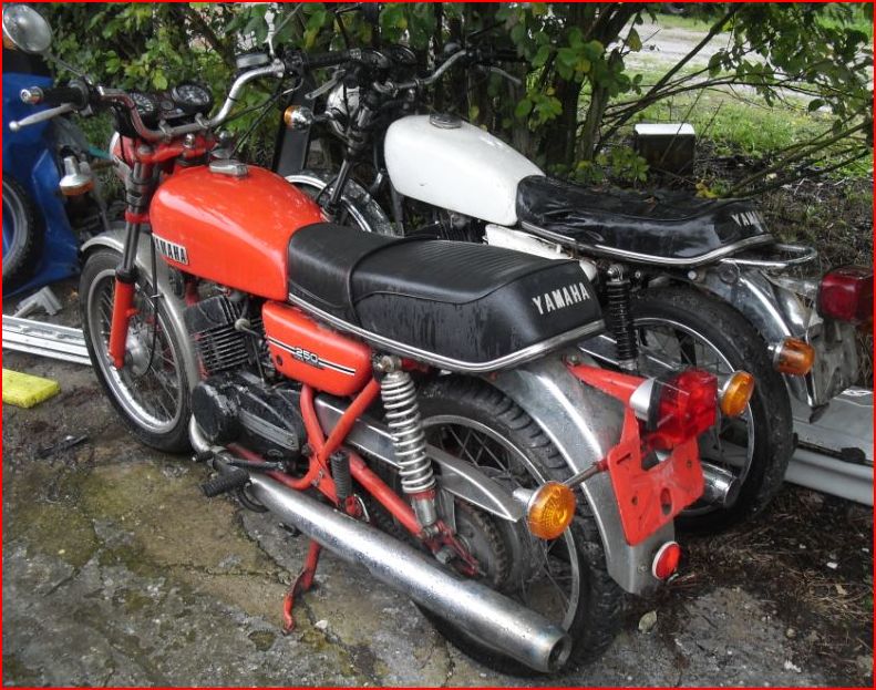 Vor ein paar Jahren sah sie so aus!