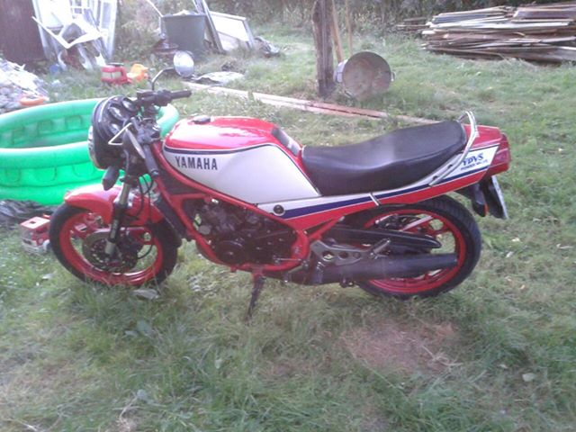 Meine RD