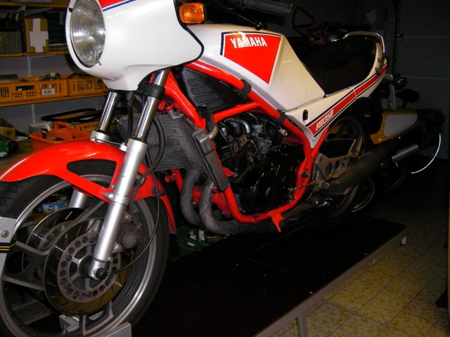 SANY0883.JPG