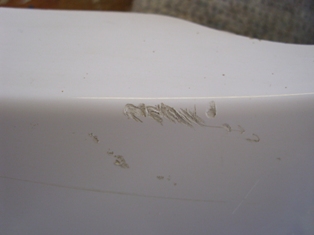 DSCI0261.JPG