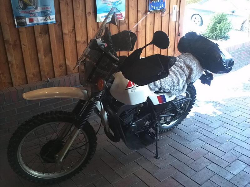 DT250MX