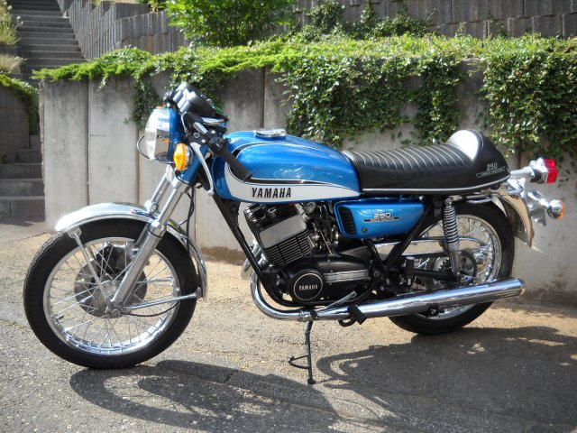 40319fbf.l (1).jpg