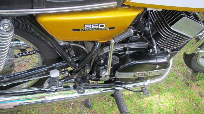IMG_9867.jpg