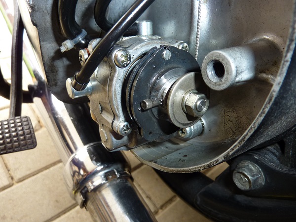 P1080975 reduziert.jpg