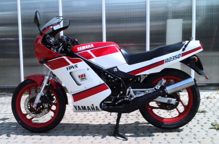 yvps-2_2.JPG