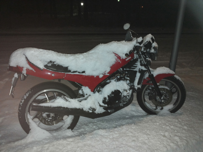 SchneeRD.jpg