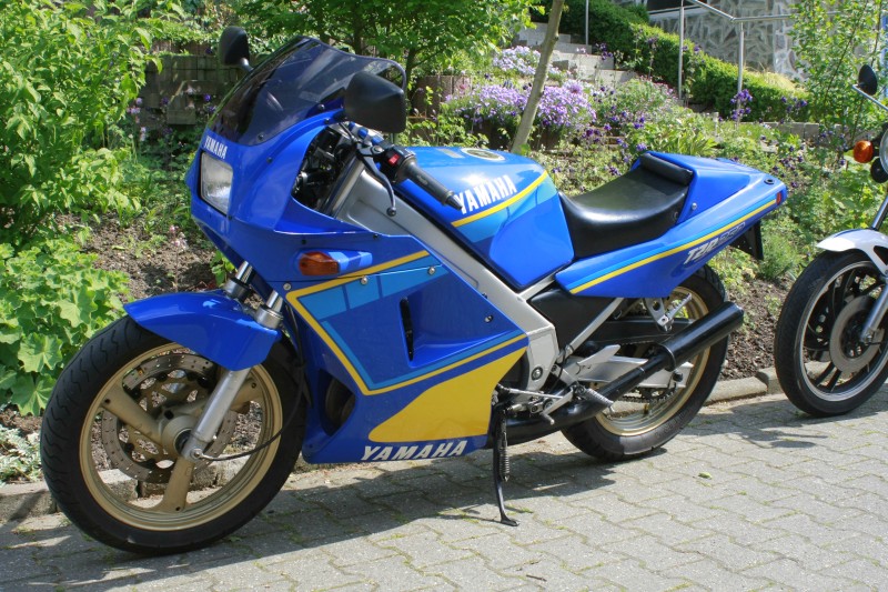 TZR 250 - fertig